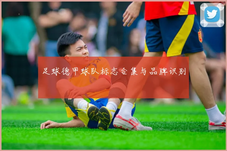 足球德甲球队标志合集与品牌识别