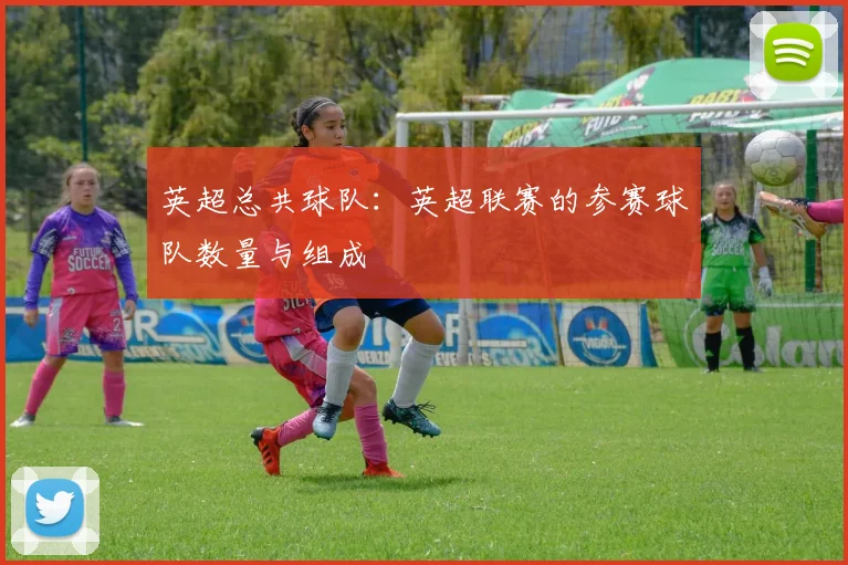 英超总共球队：英超联赛的参赛球队数量与组成