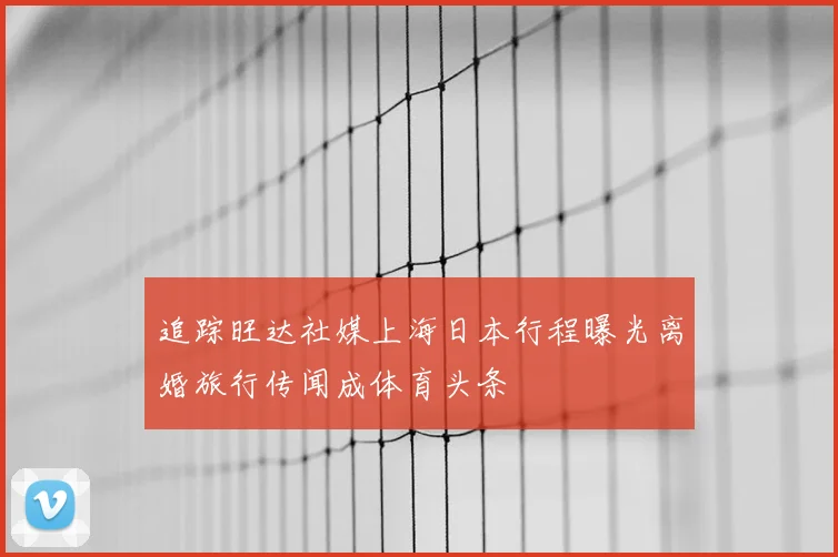 追踪旺达社媒上海日本行程曝光离婚旅行传闻成体育头条